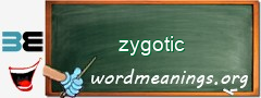 WordMeaning blackboard for zygotic